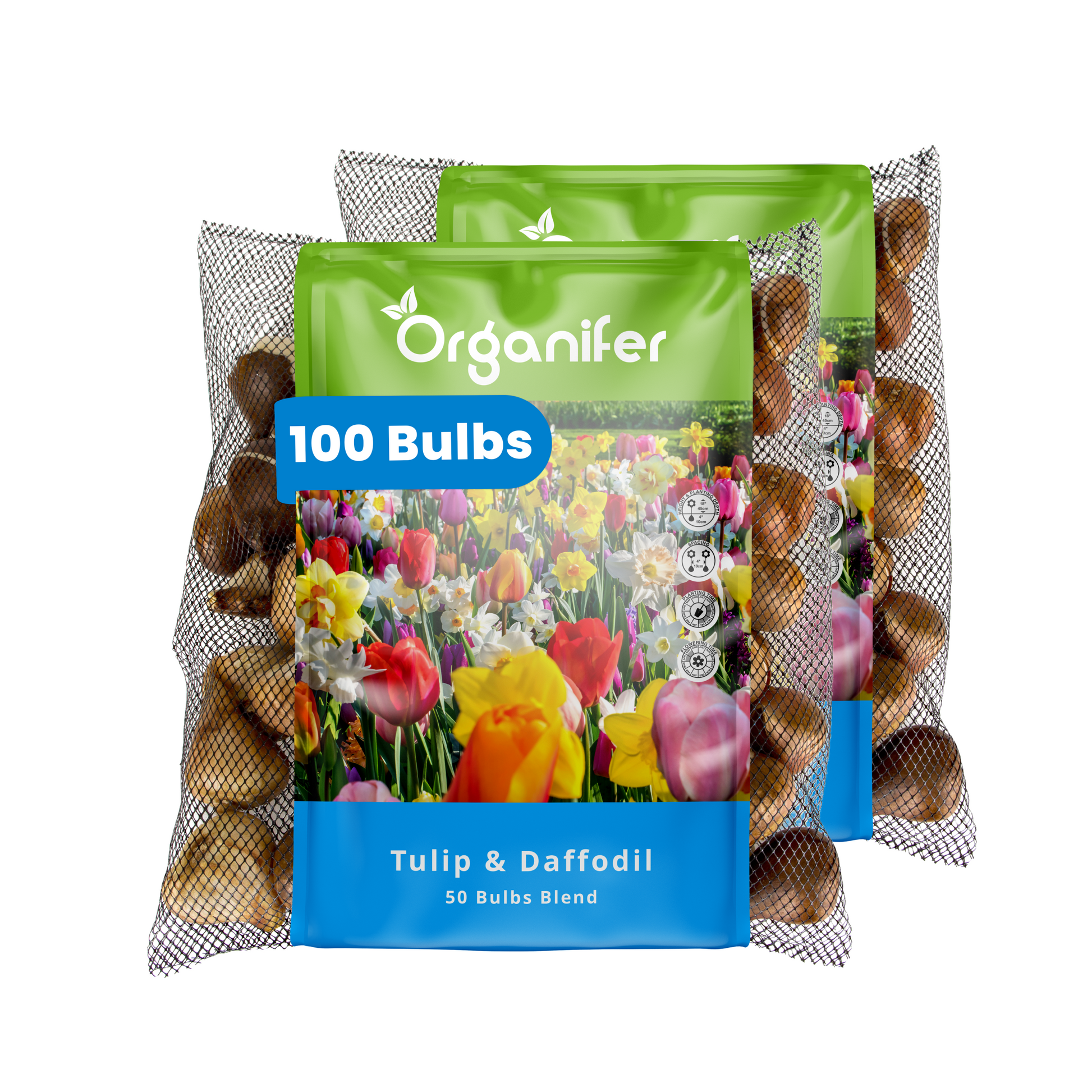 100 Tulip and Daffodil Bulbs Mix