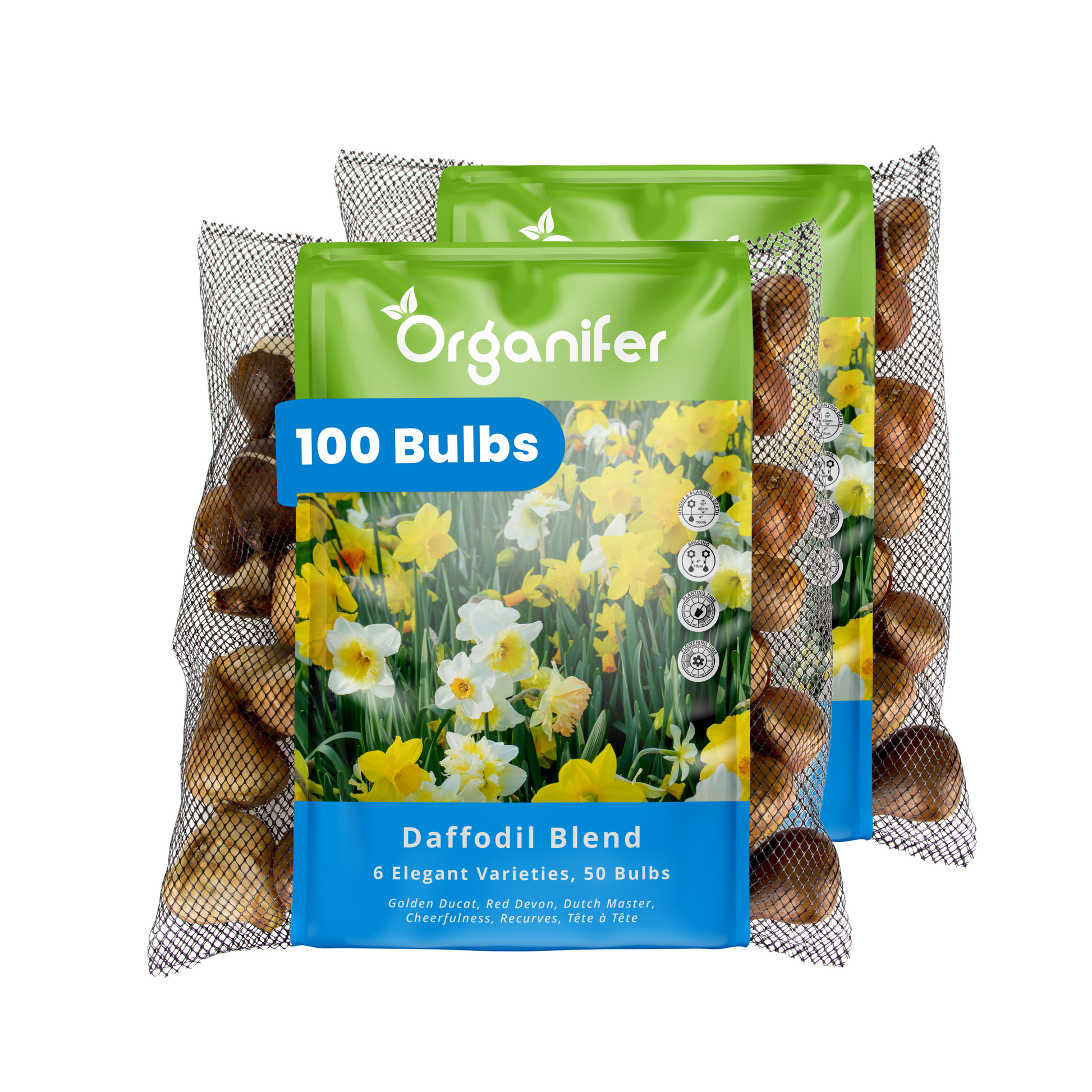 100 Daffodil Bulbs – 6 Elegant Varieties