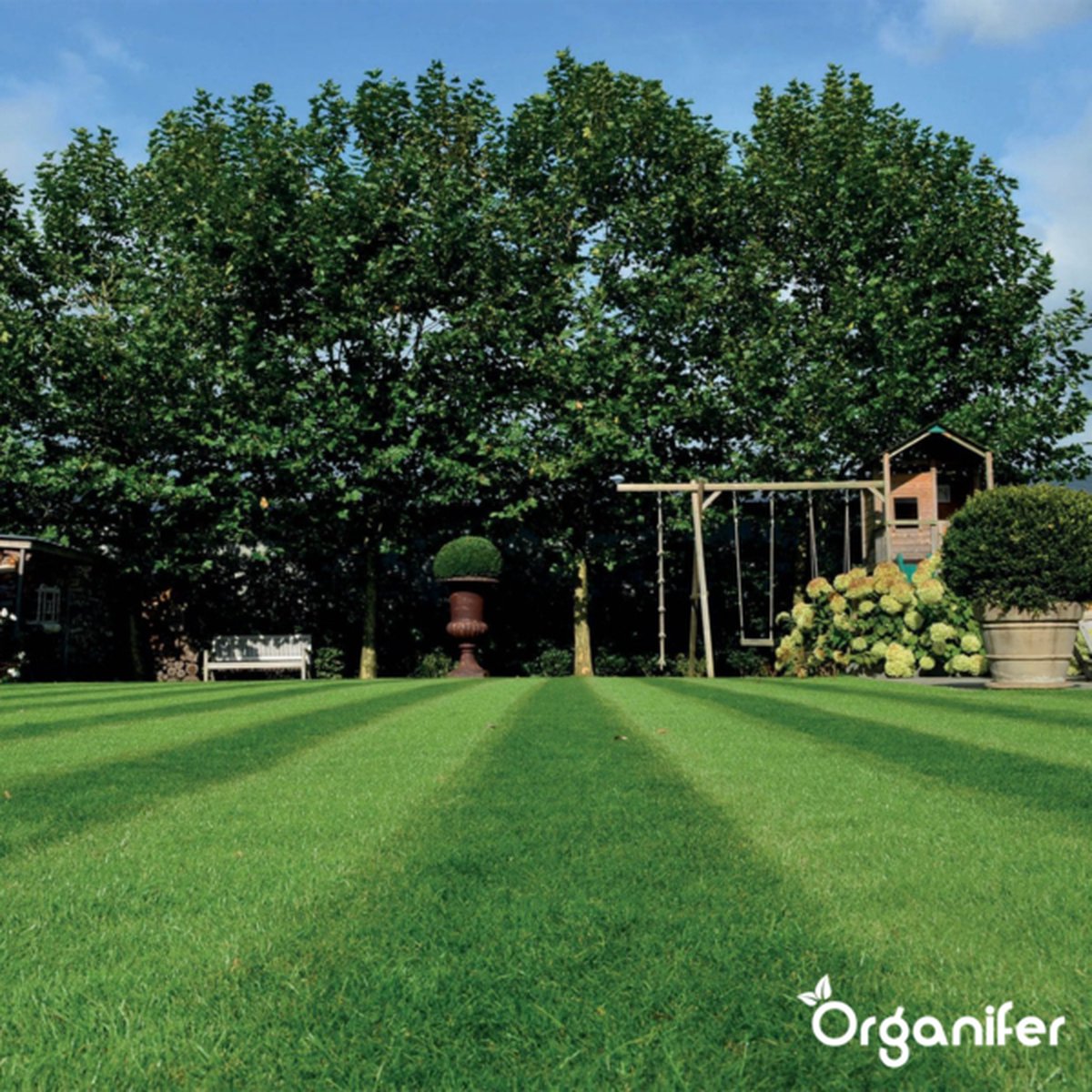Organifer