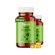 Κάψουλες Leaf Insect - συσκευασία 120 τεμαχίων