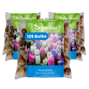 125 Hyacinth Bulbs – Colourful Mix