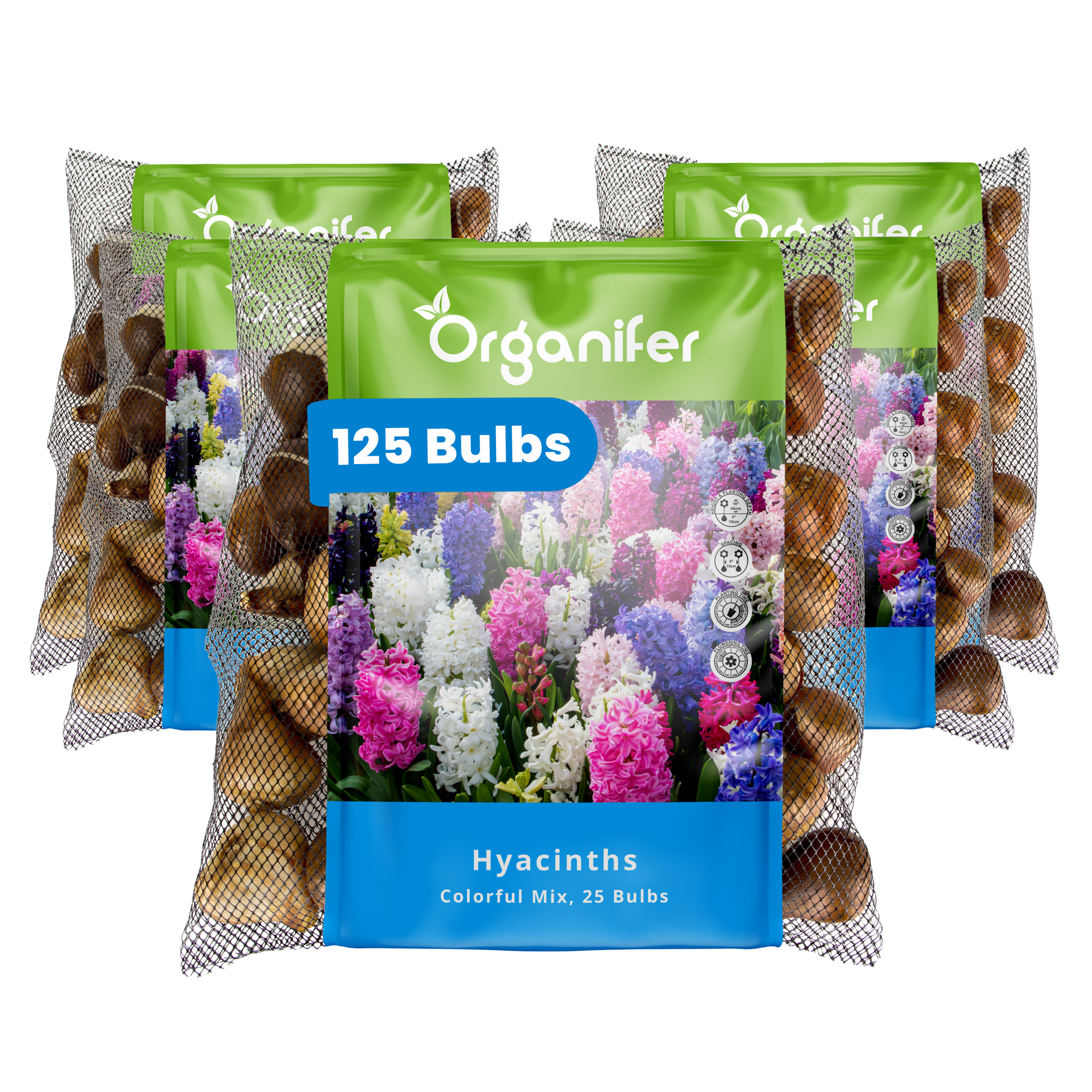 125 Hyacinth Bulbs – Colourful Mix