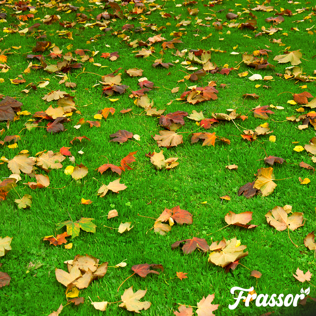 Frassor Autumn Fertiliser All-in-One