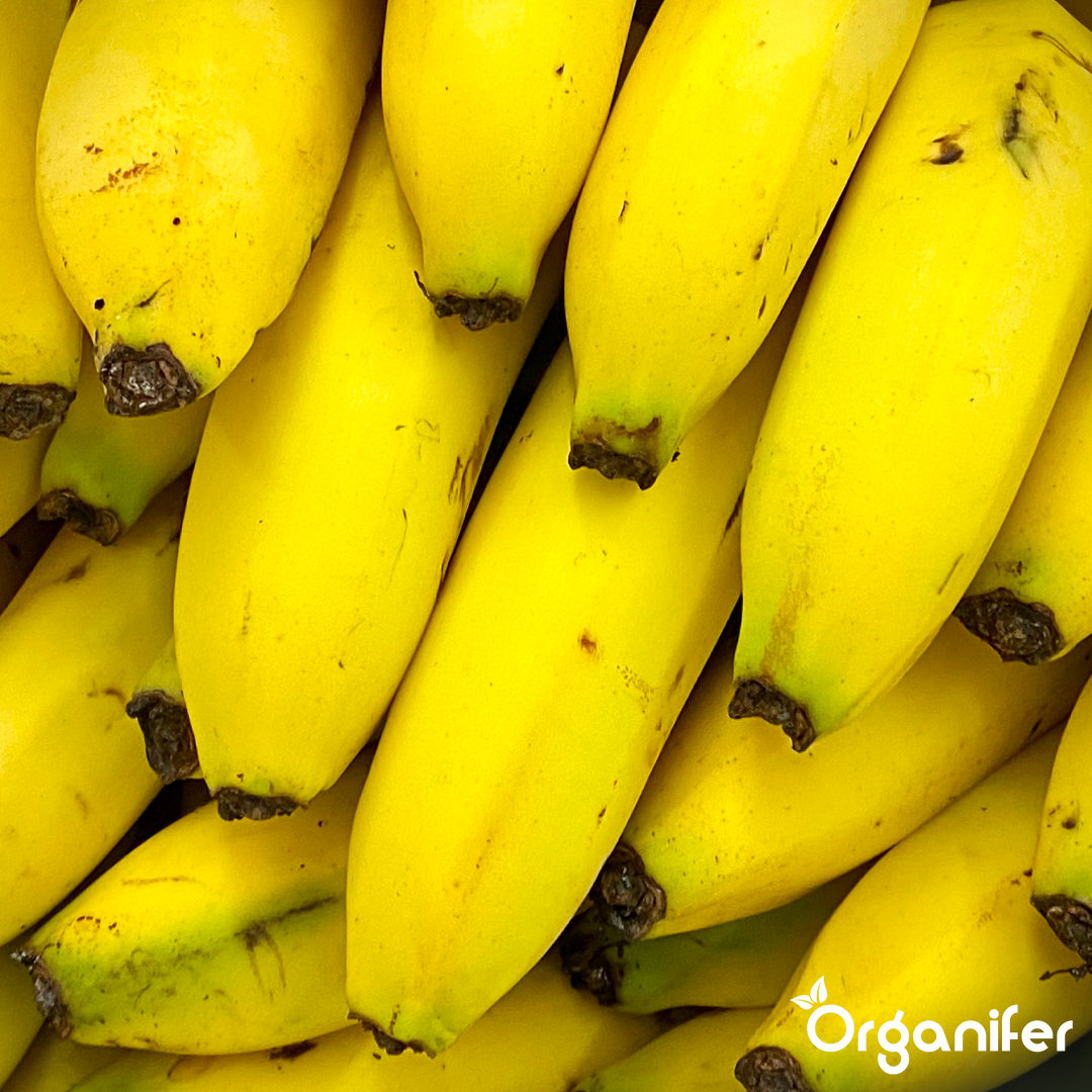 liquid fertiliser Banana