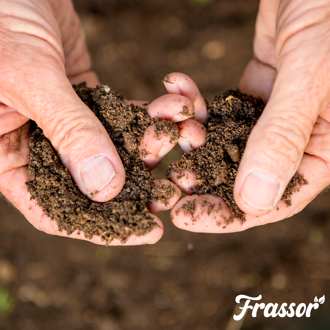 2 frassor soil vital english