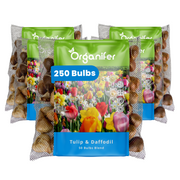 250 Tulip and Daffodil Bulbs Mix