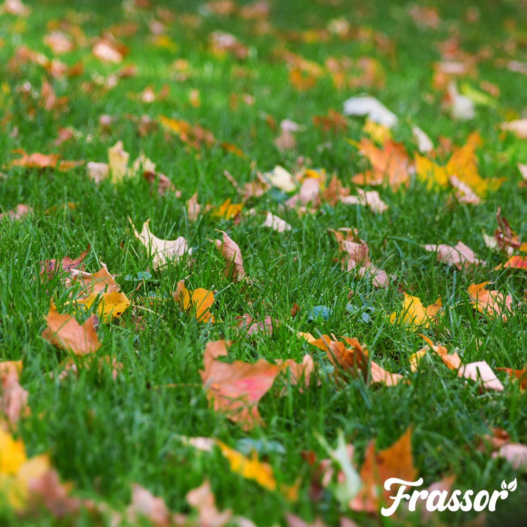 Frassor Autumn Fertiliser All-in-One