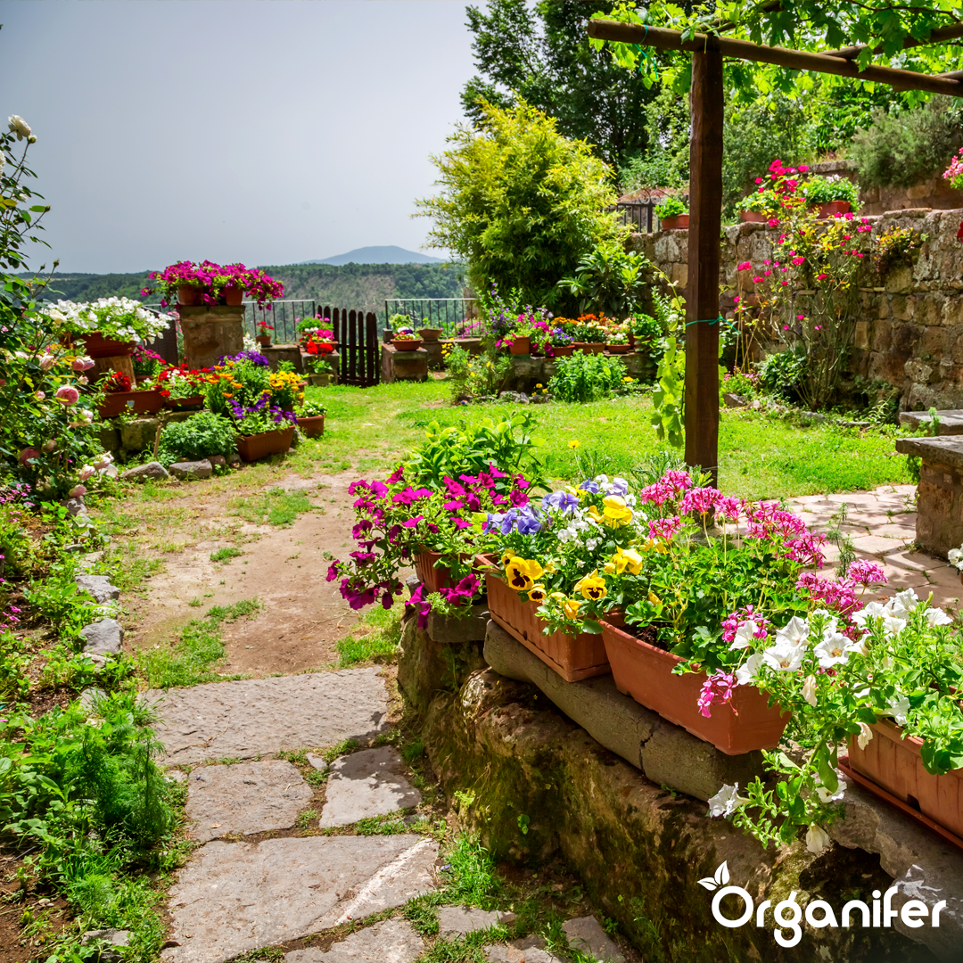 liquid fertiliser Garden