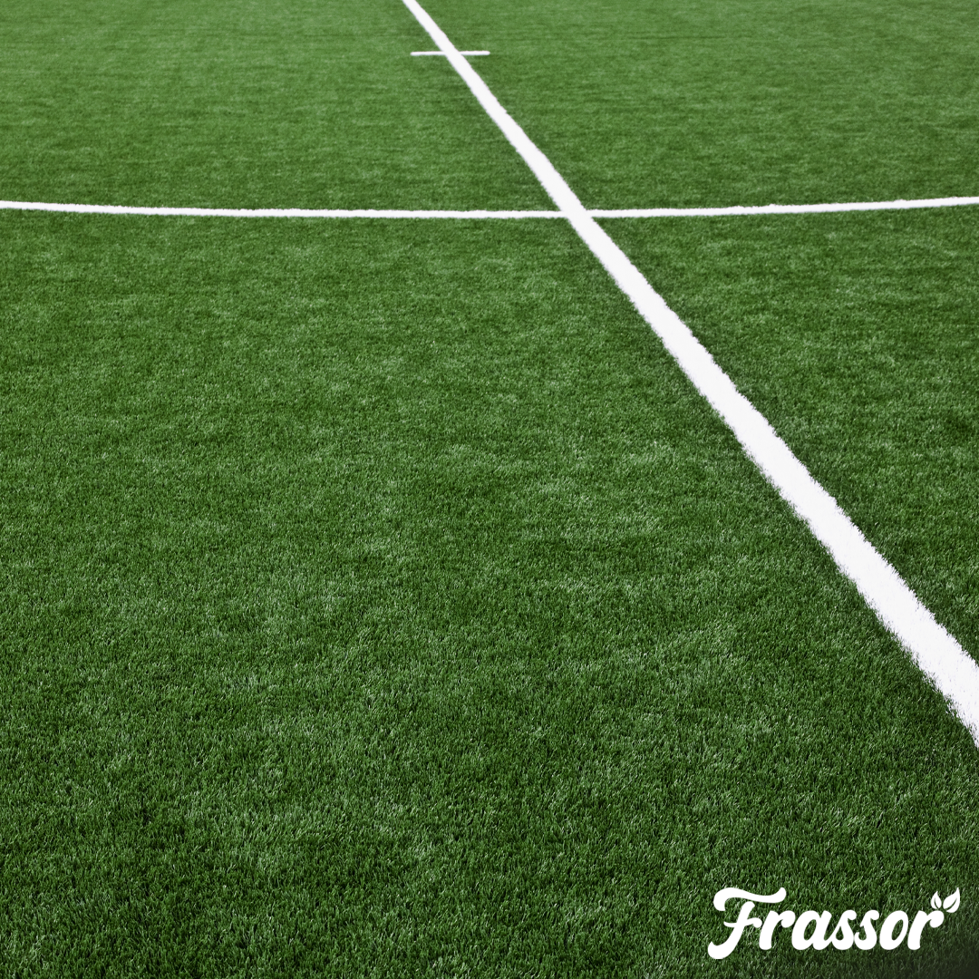 Frassor Lawn Fertiliser All-in-One