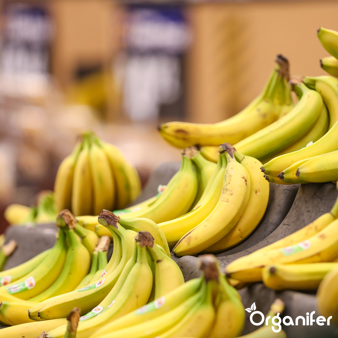 liquid fertiliser Banana