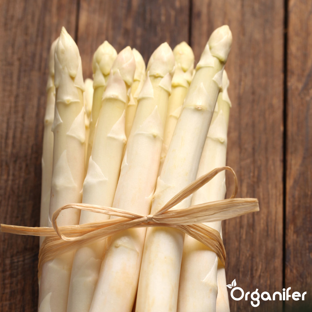 liquid fertiliser asparagus