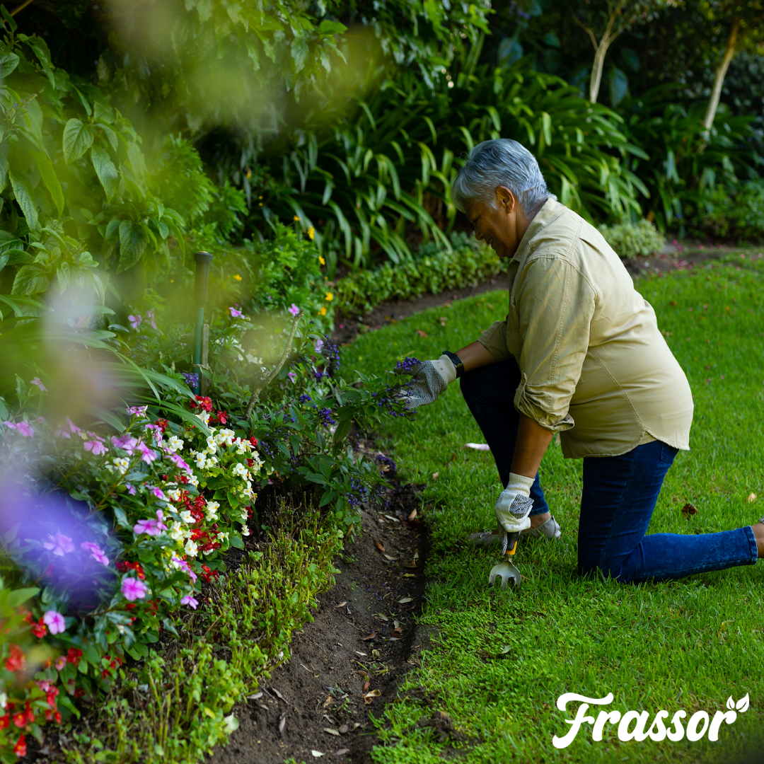 Frassor Border All-in-One