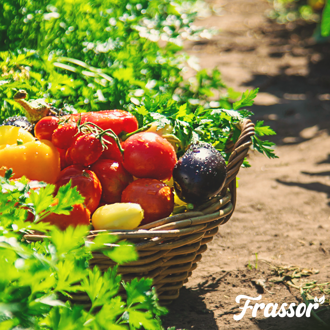 5 frassor soil resilience