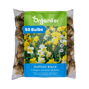 50 Daffodil Bulbs – 6 Elegant Varieties