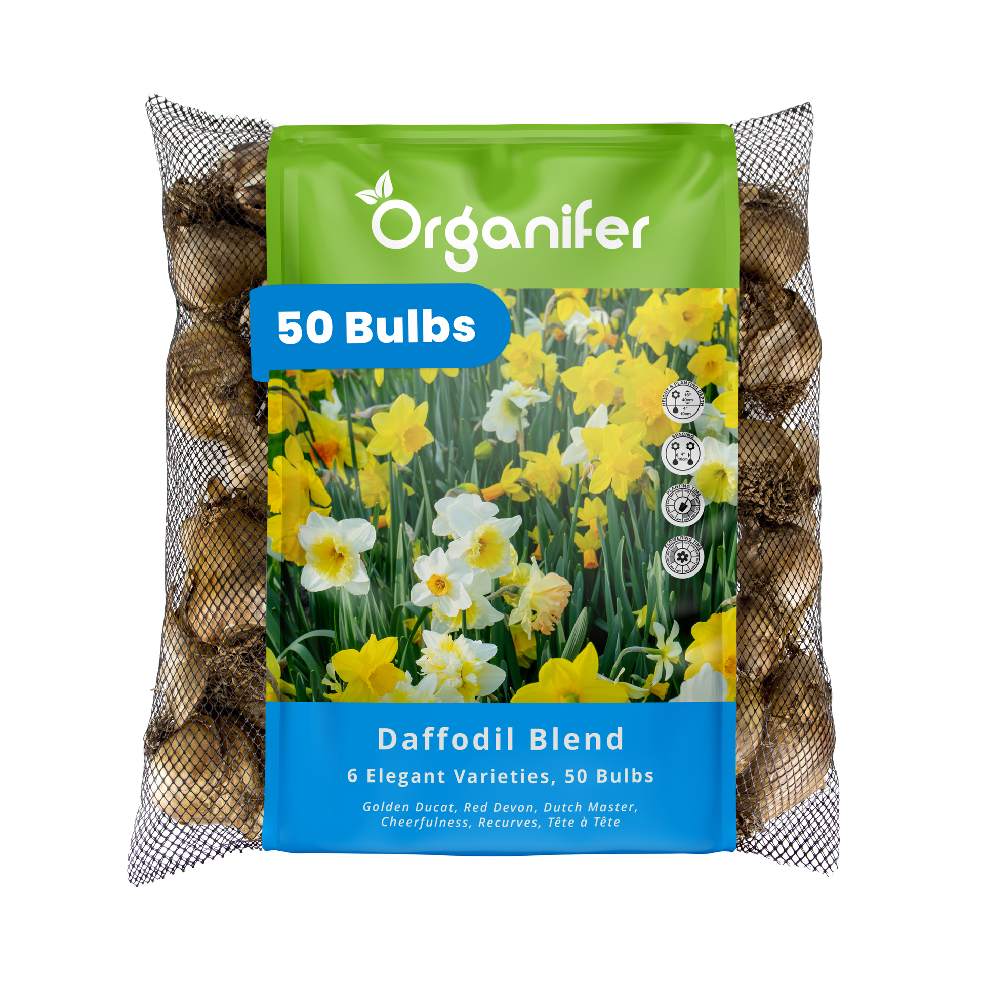 50 Daffodil Bulbs – 6 Elegant Varieties