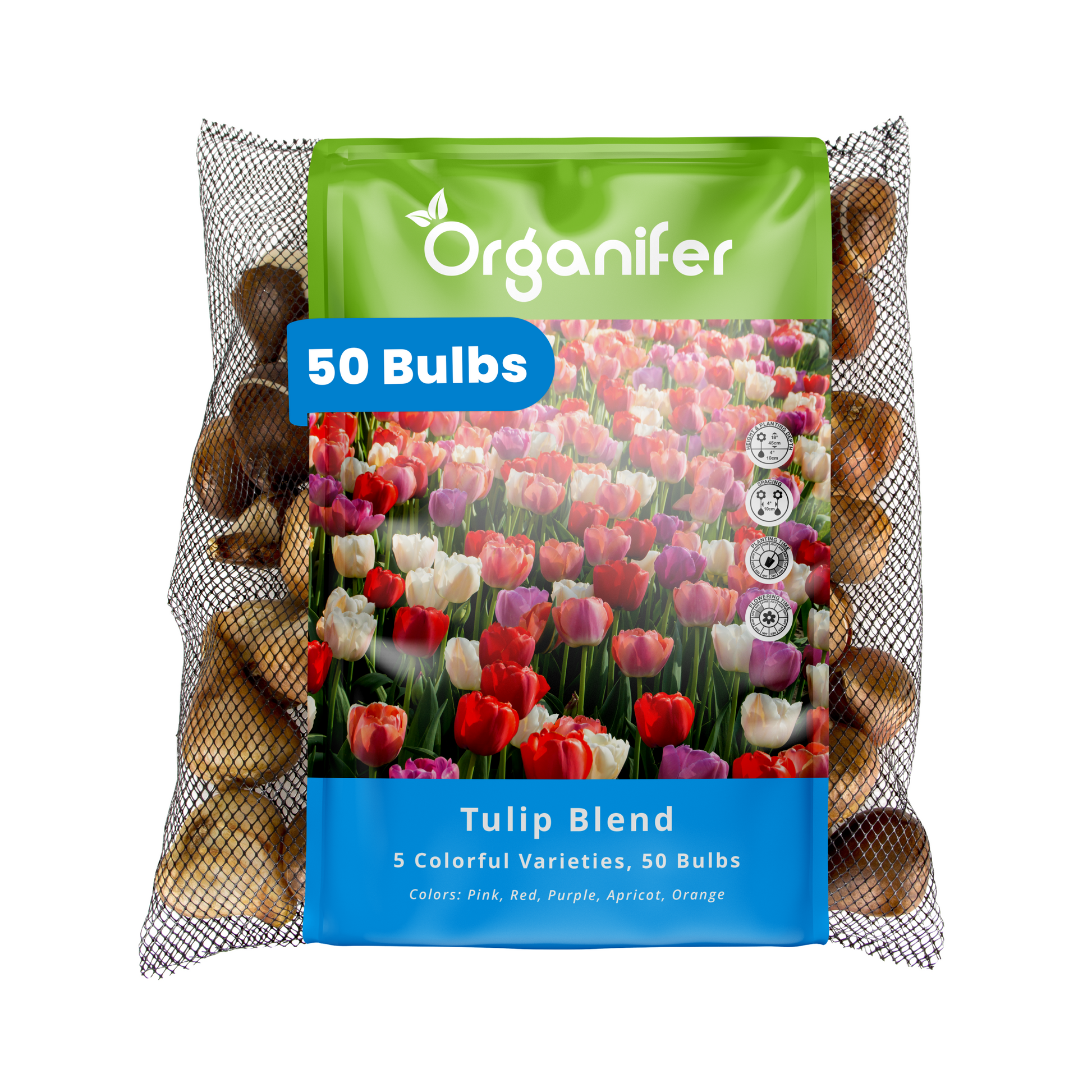 50 Tulip Bulbs – 5 Colorful Varieties