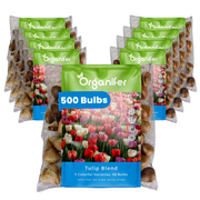 500 Tulip Bulbs – 5 Colorful Varieties