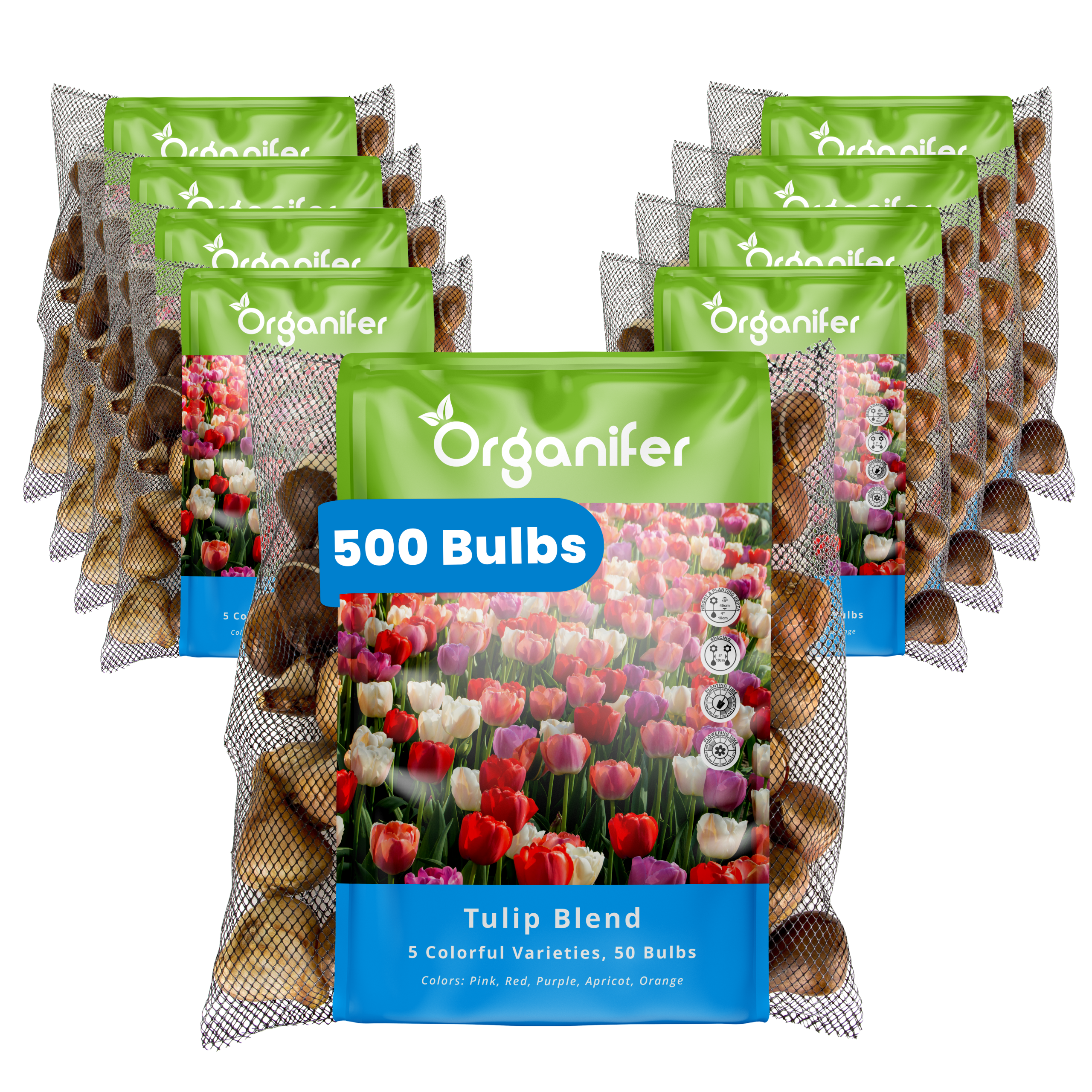 500 Tulip Bulbs – 5 Colorful Varieties
