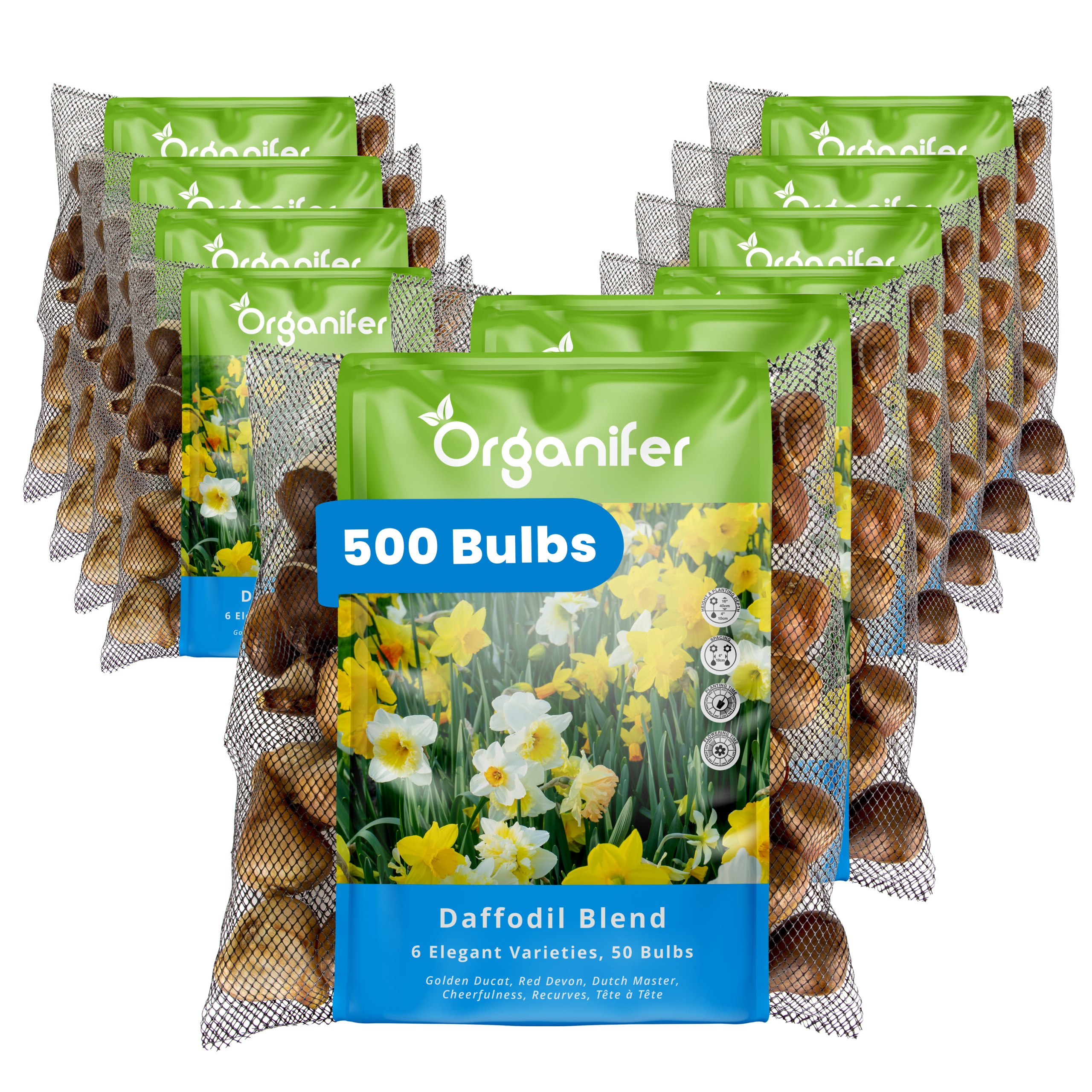 500 Daffodil Bulbs – 6 Elegant Varieties
