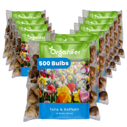 500 Tulip and Daffodil Bulbs Mix