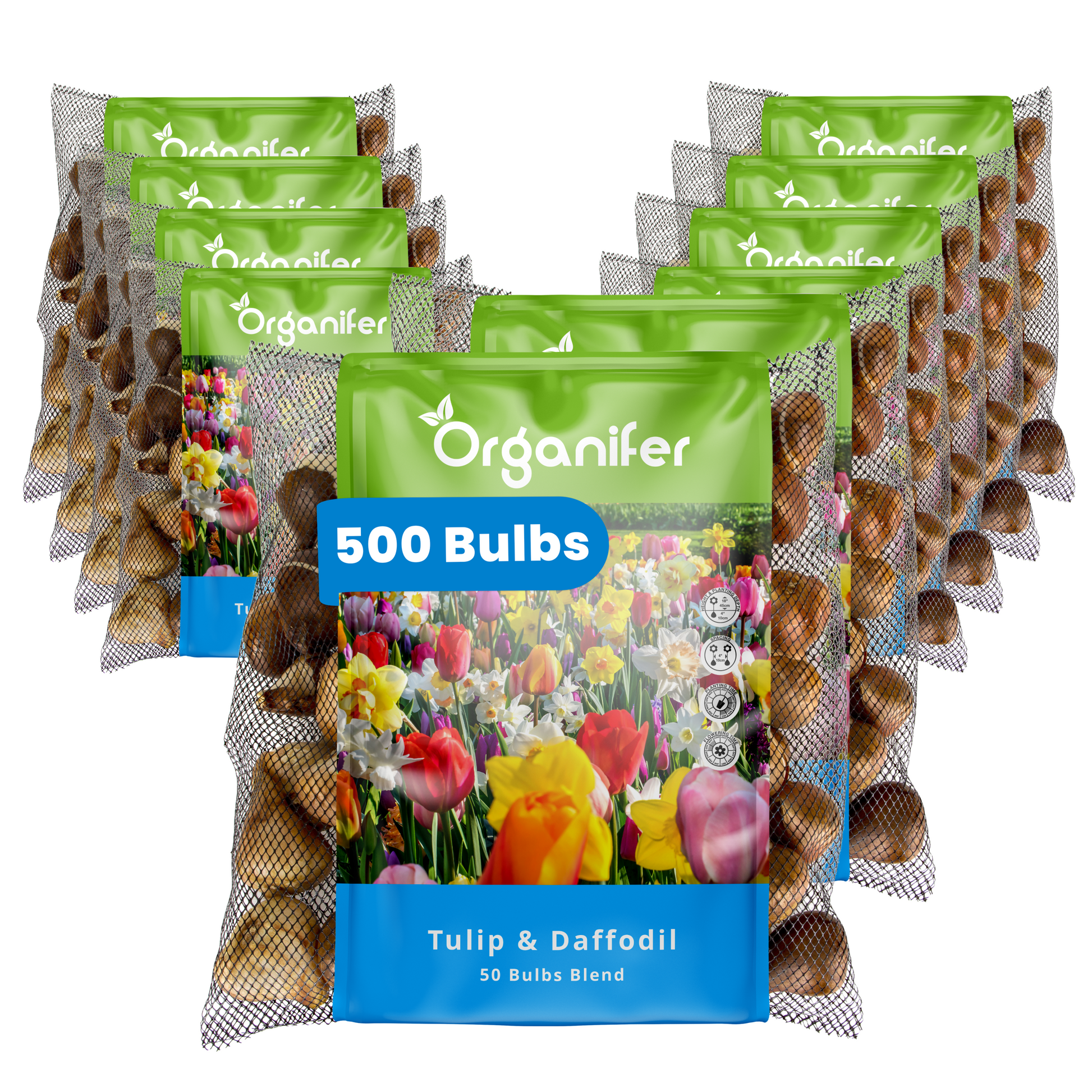 500 Tulip and Daffodil Bulbs Mix