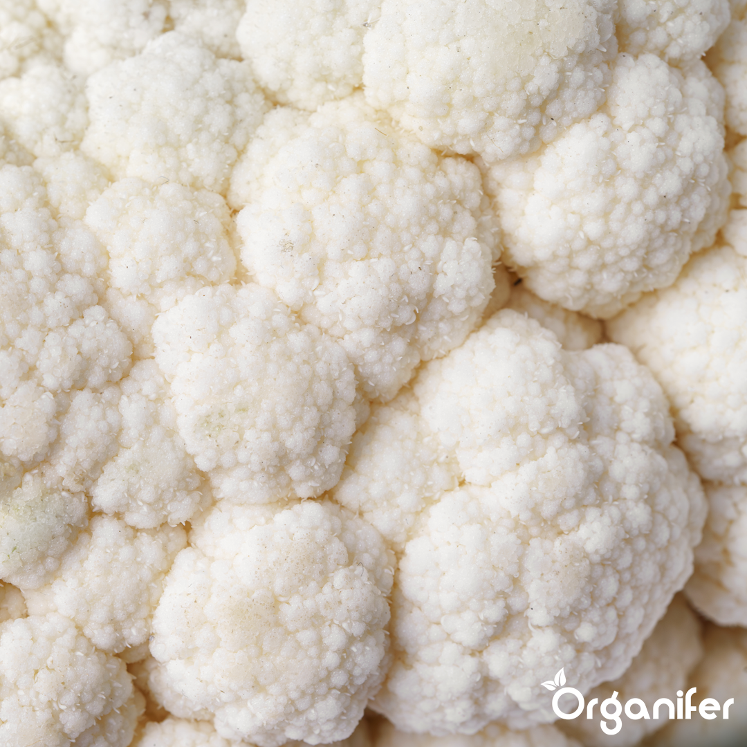 liquid fertiliser cauliflower