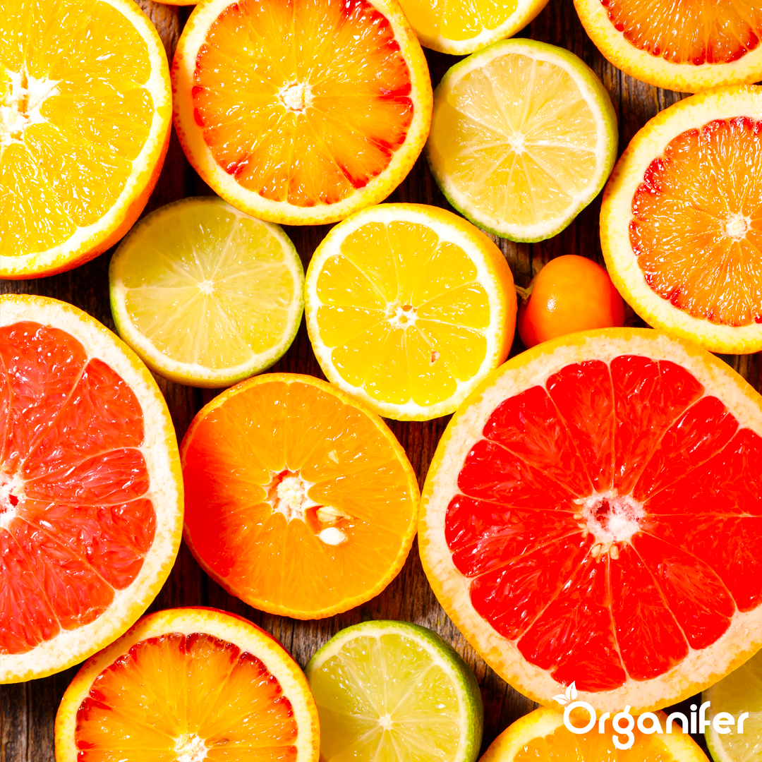 liquid fertiliser citrus