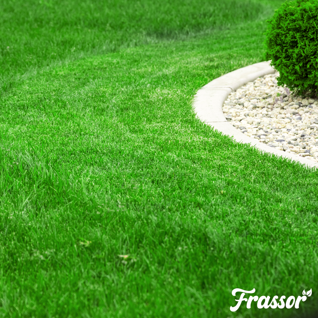 Frassor Lawn Fertiliser All-in-One