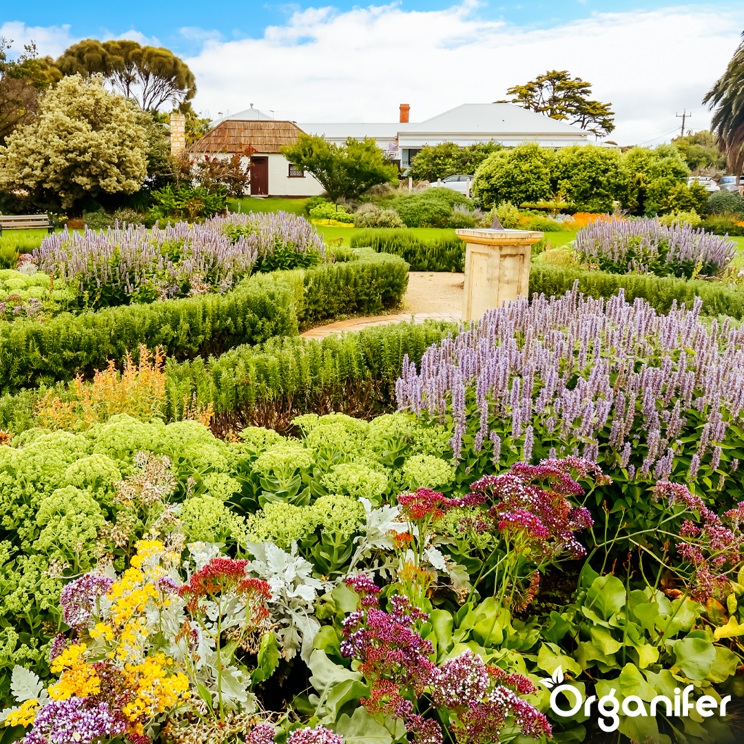liquid fertiliser Garden