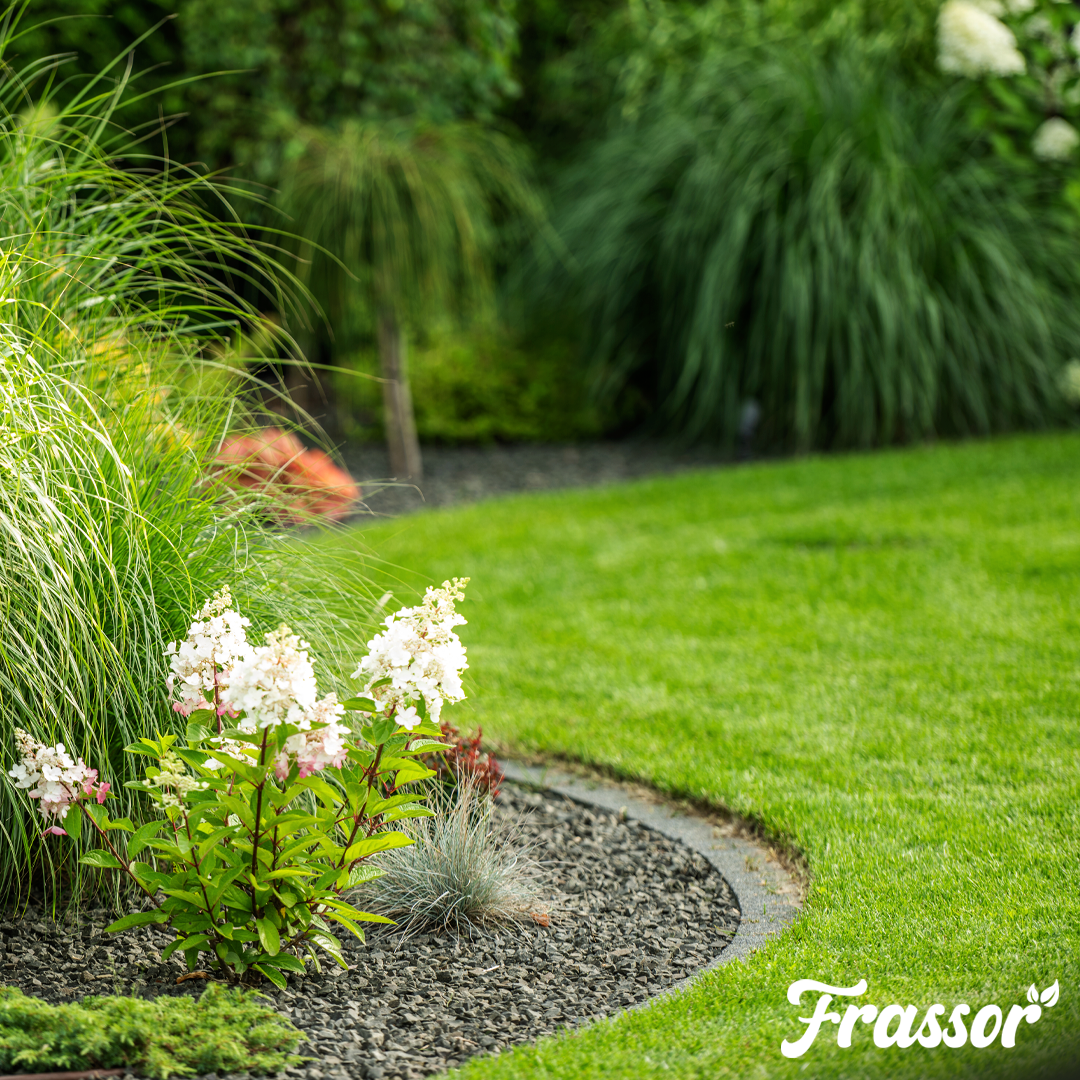 Frassor Border All-in-One