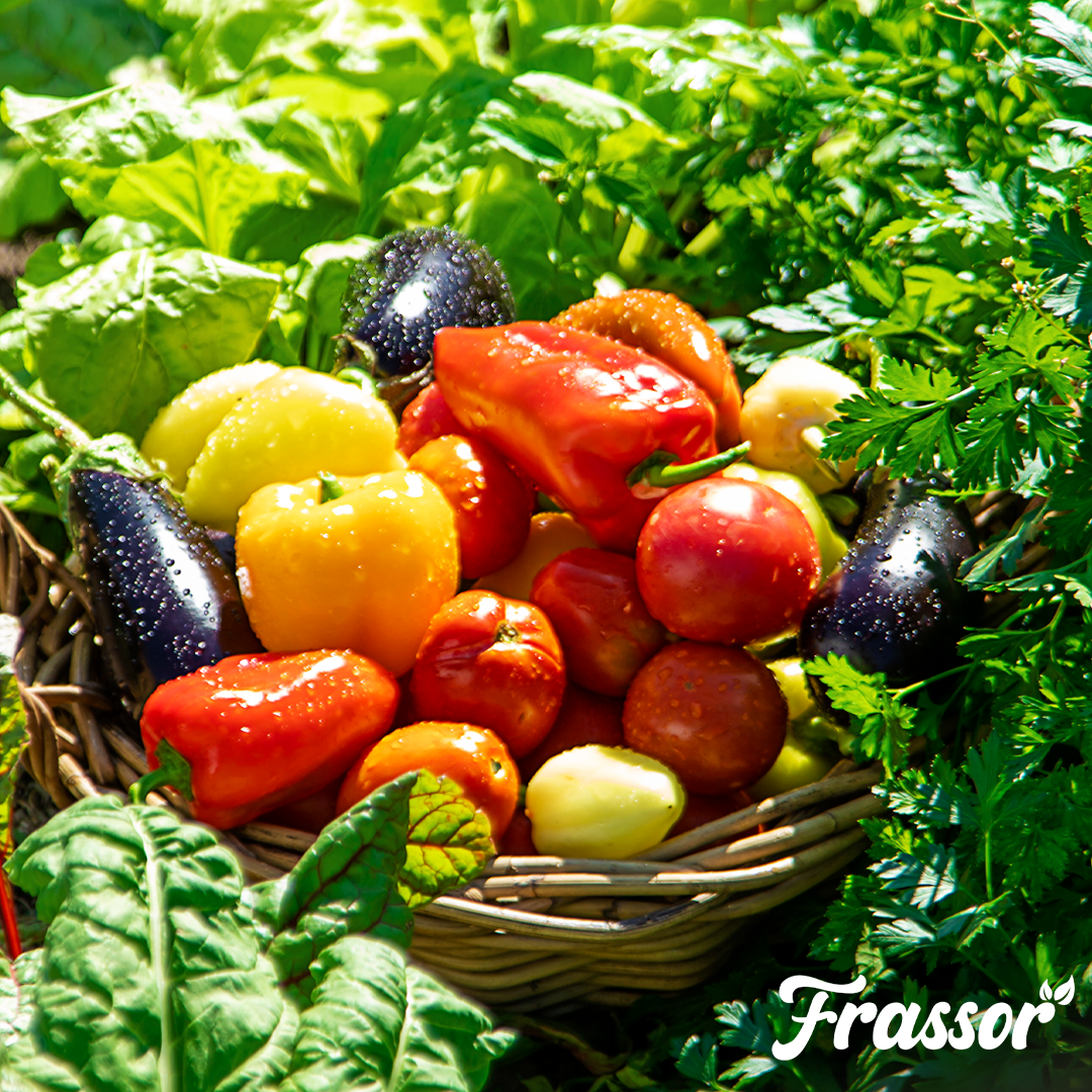 7 frassor soil resilience