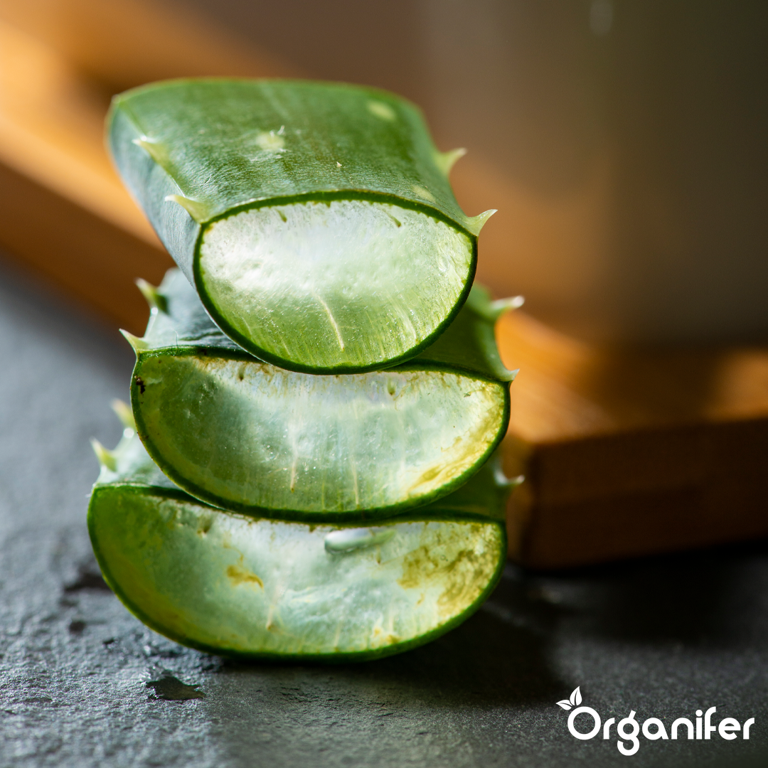 liquid fertiliser Aloe Vera