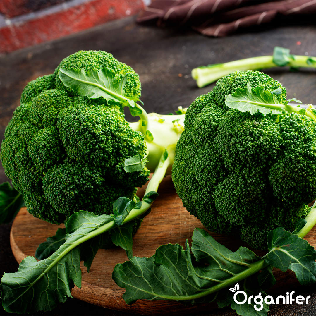 liquid fertiliser broccoli