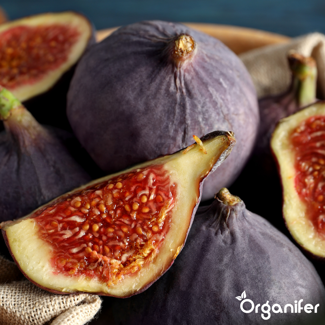 liquid fertiliser fig