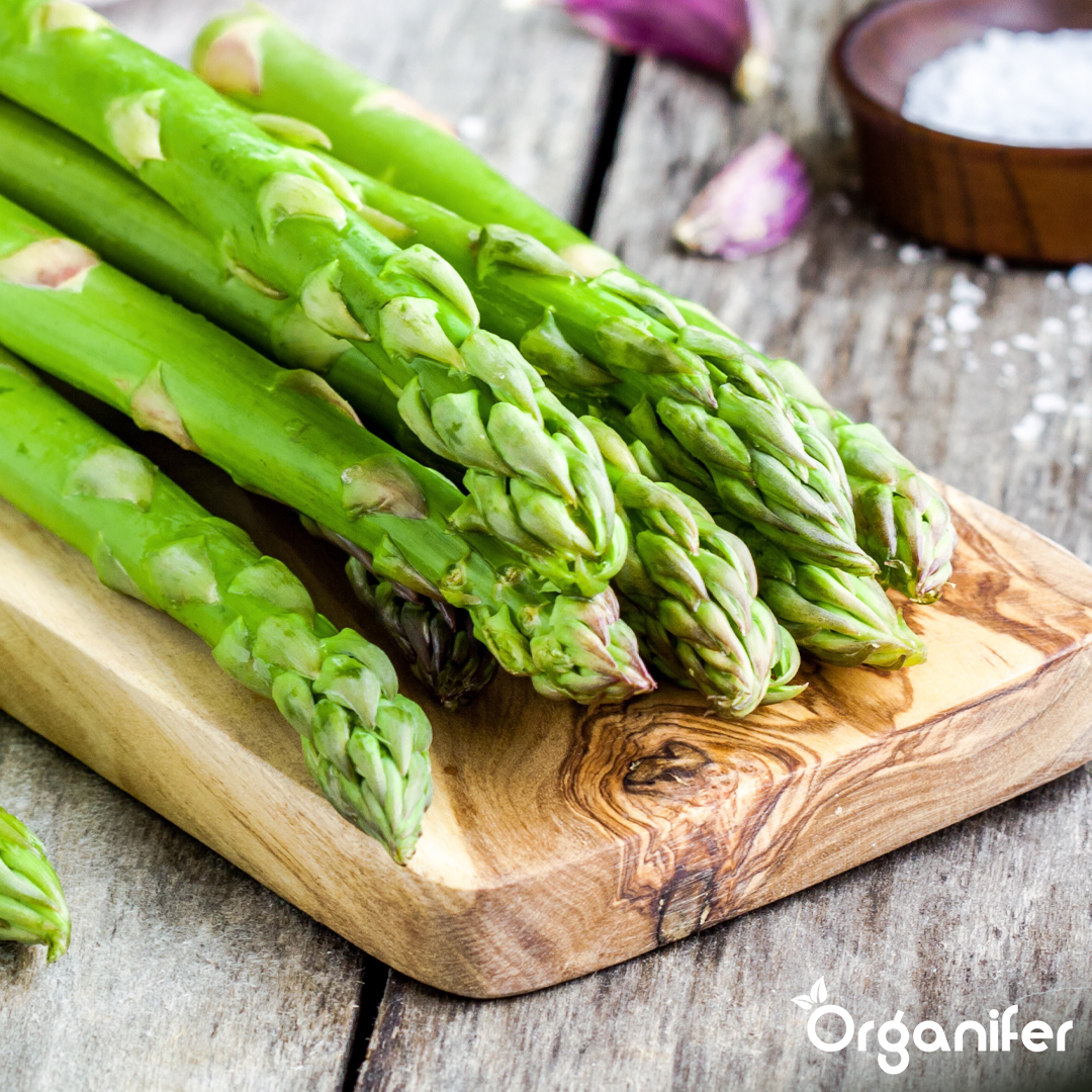 liquid fertiliser asparagus