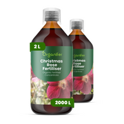 8719958000797 Christmas Rose 2L labels