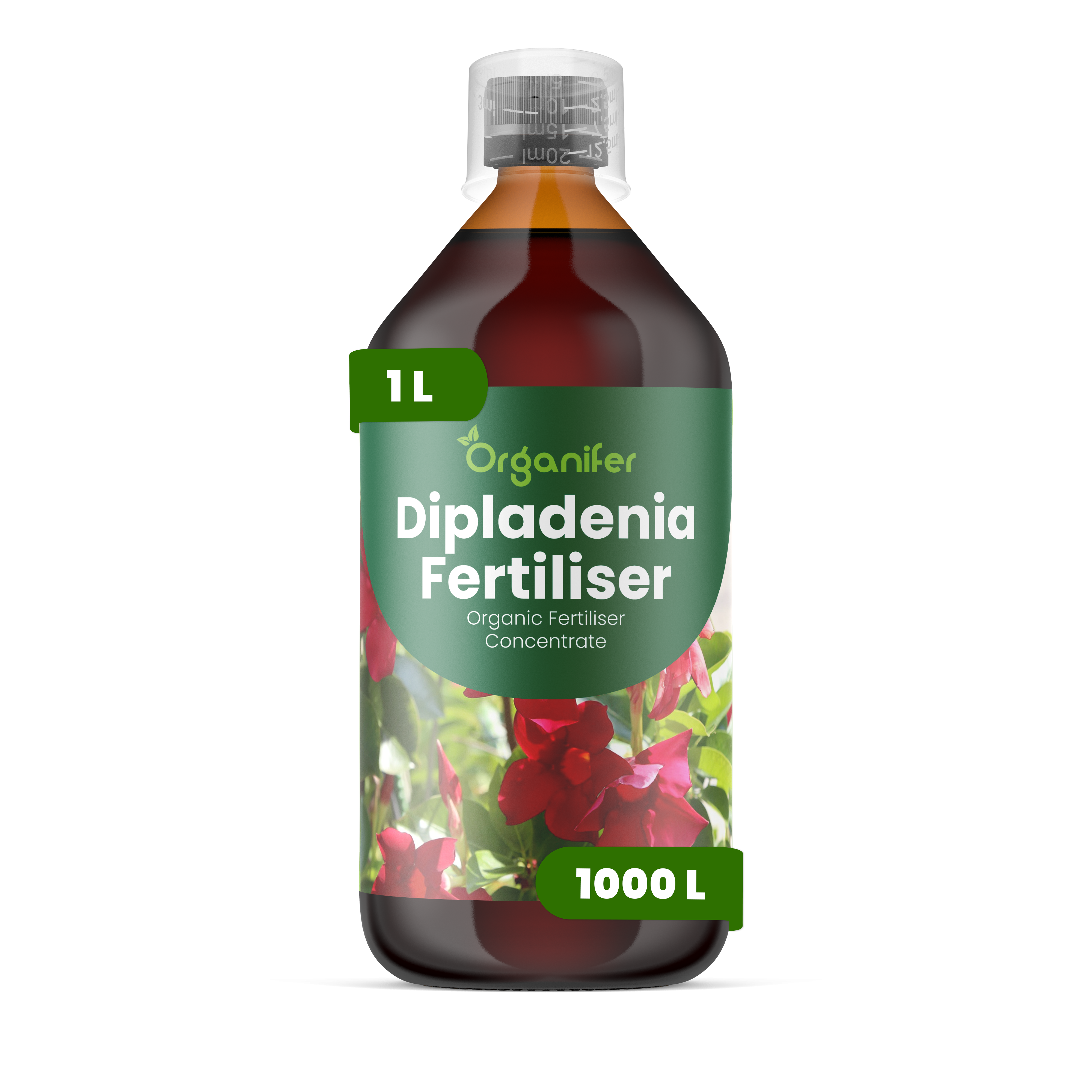 Dipladenia-organifer
