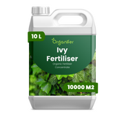 organifer liquid fertiliser Ivy