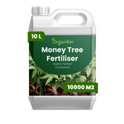 Flüssigdünger für Geldbaum - 10 Liter