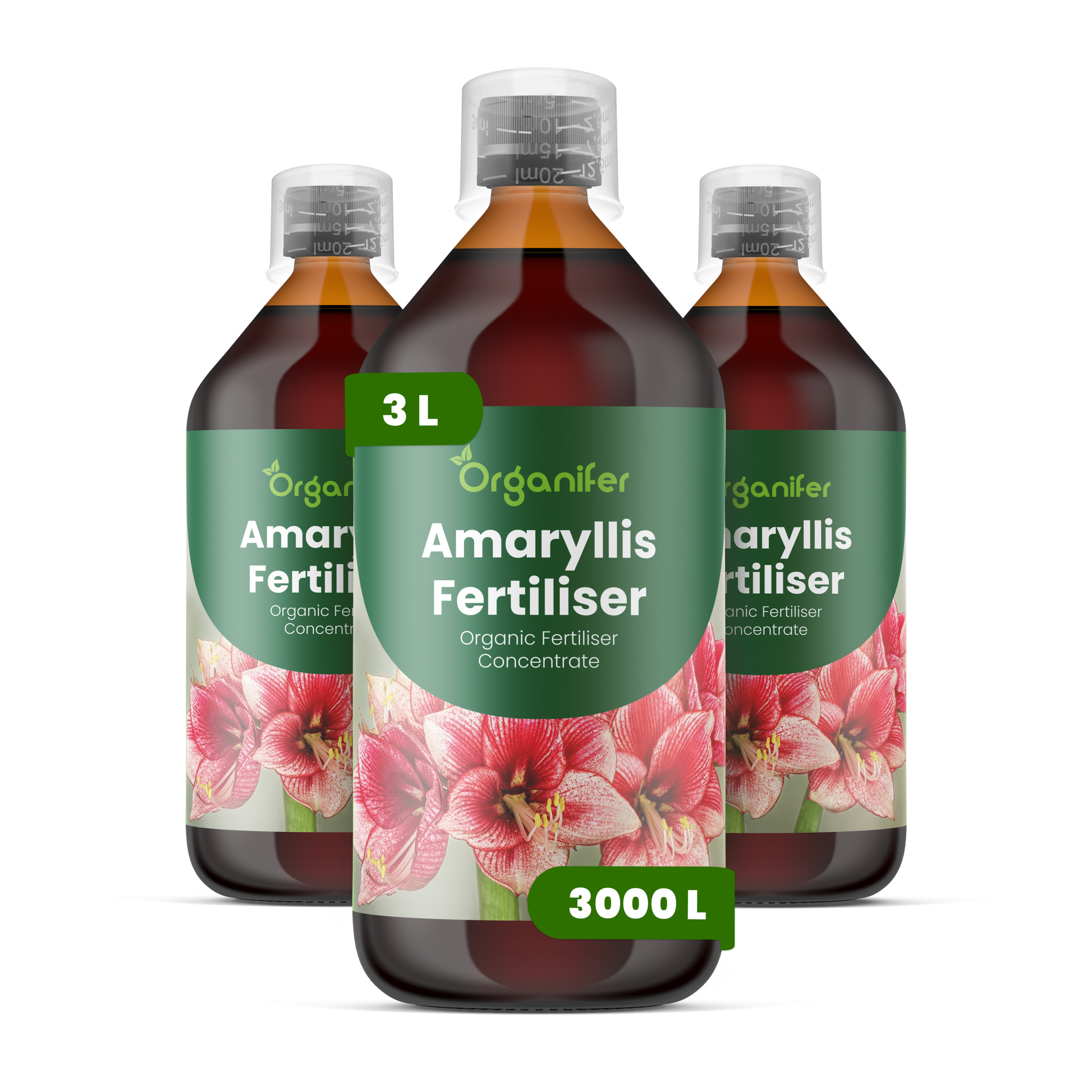 8719958003897 3L Amaryllis labels