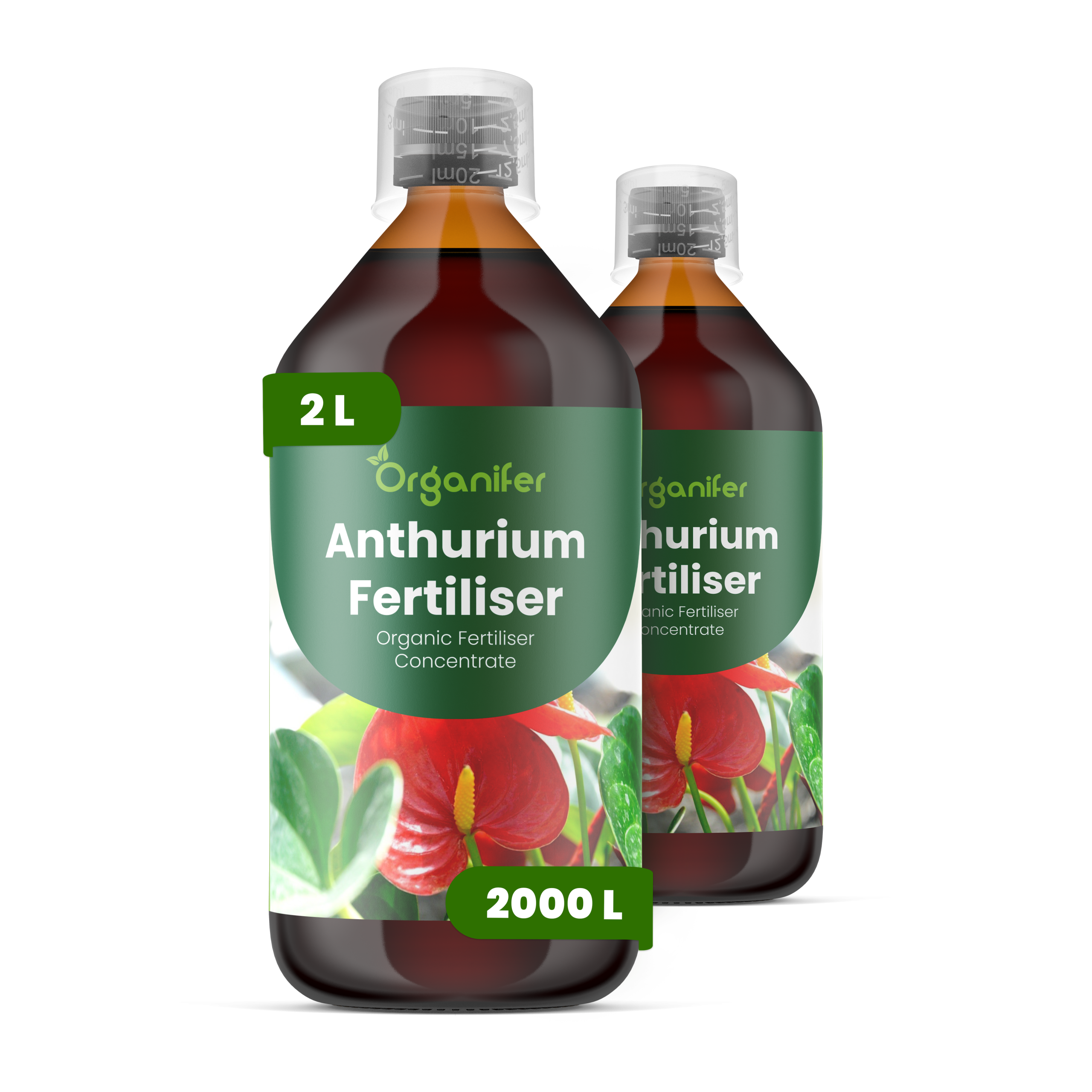 8719958003965 2L Anthurium labels