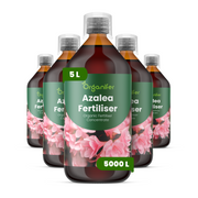 8719958004115 5L Azalea labels