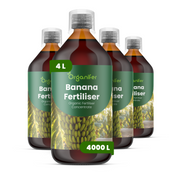 8719958004269 4L Banana labels