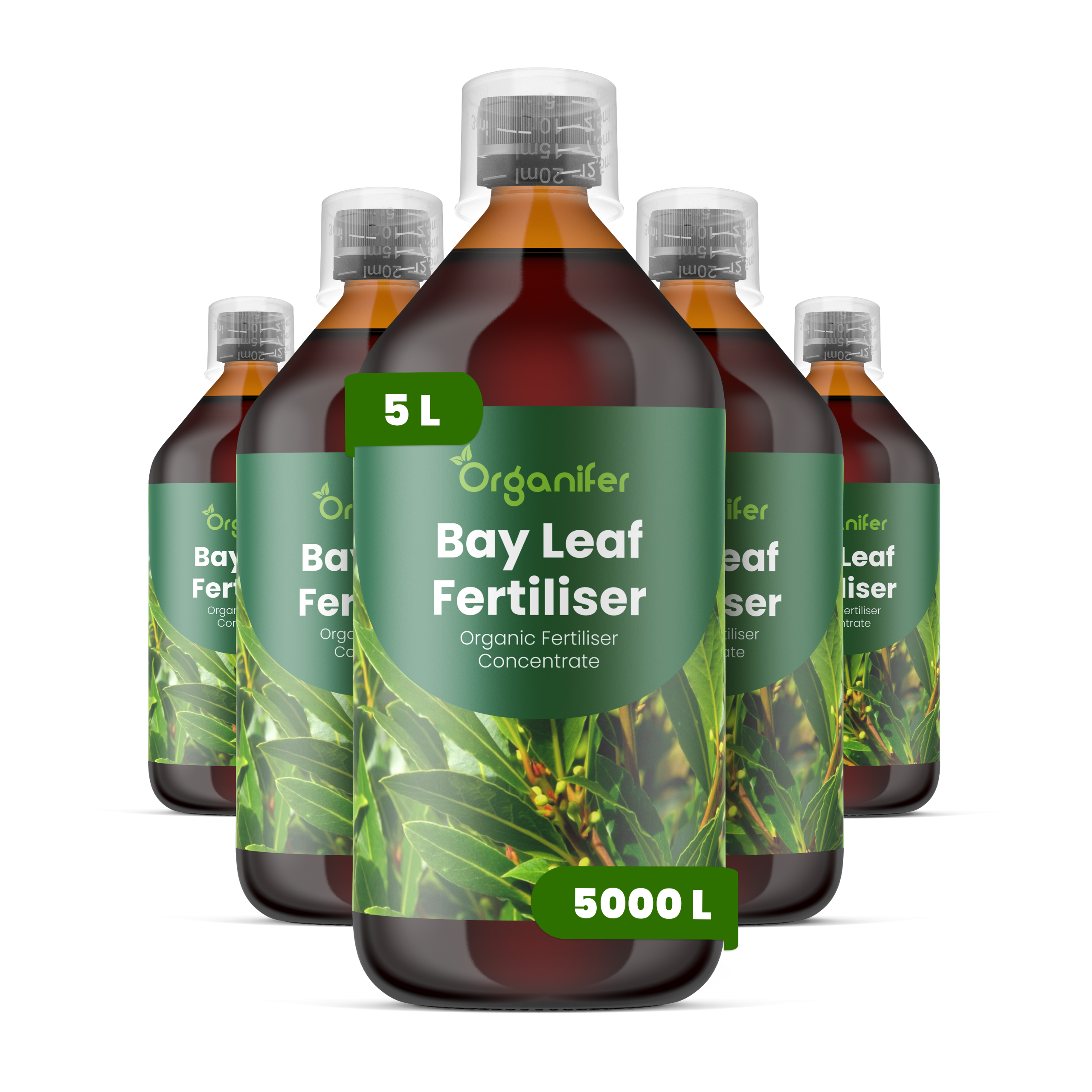8719958004313 5L bay leaf labels
