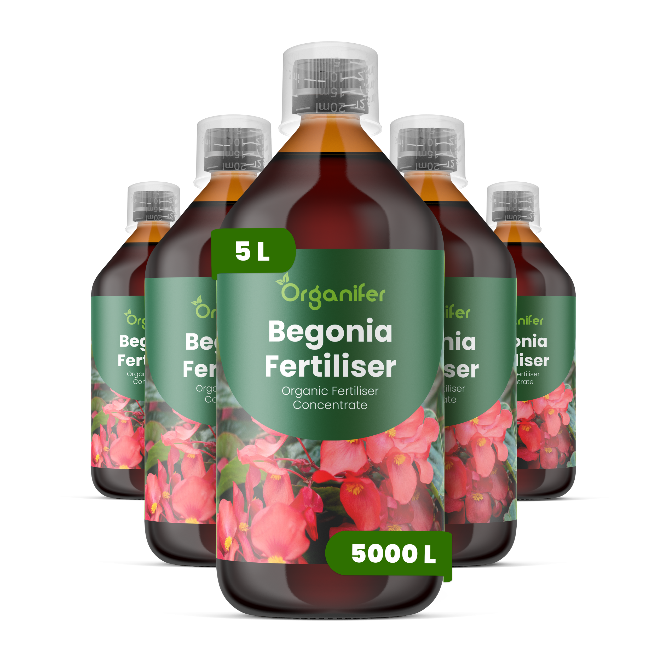 8719958004399 5L begonia labels