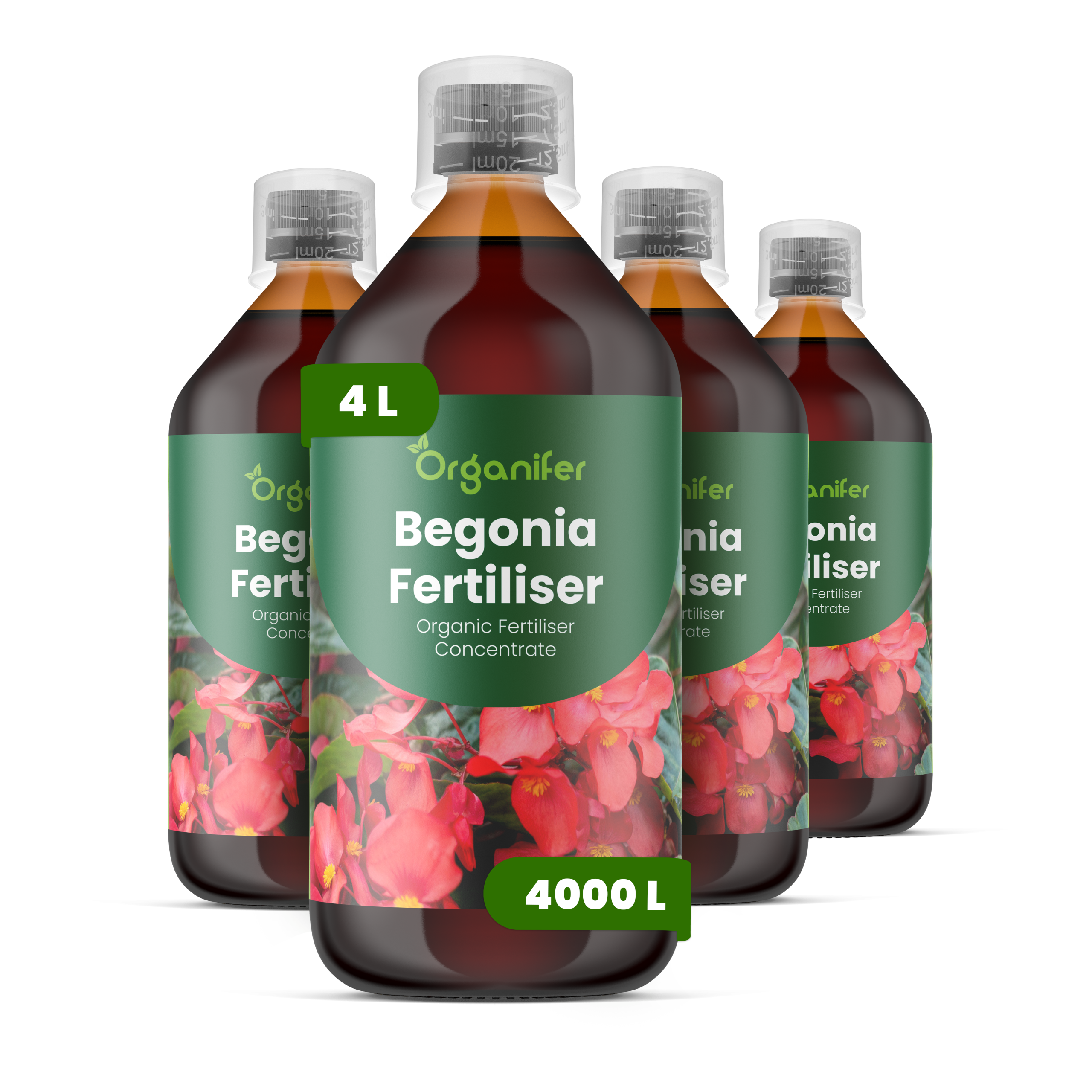 8719958004429 4L begonia labels