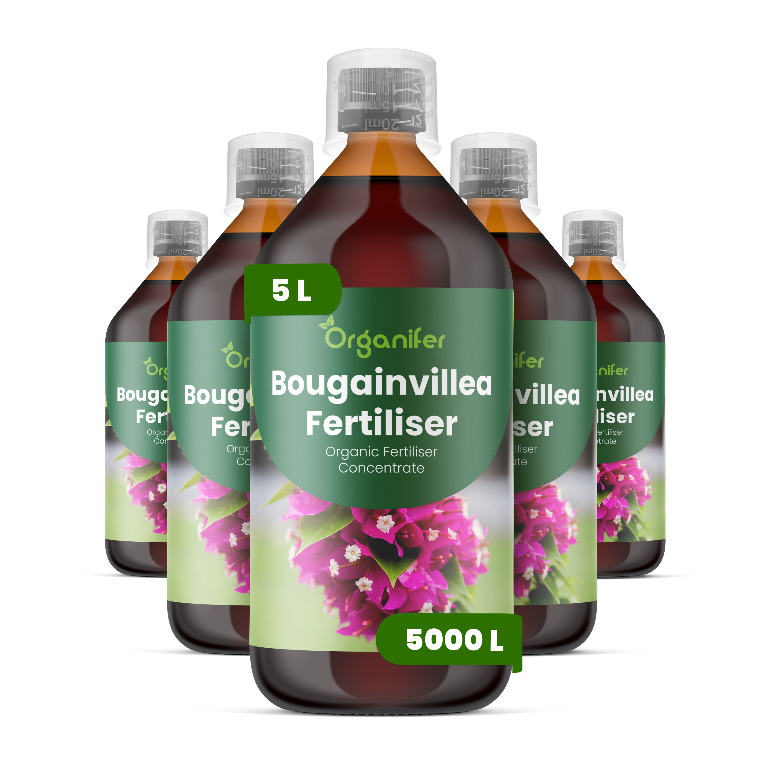 8719958004559 5L Bougainvillea labels