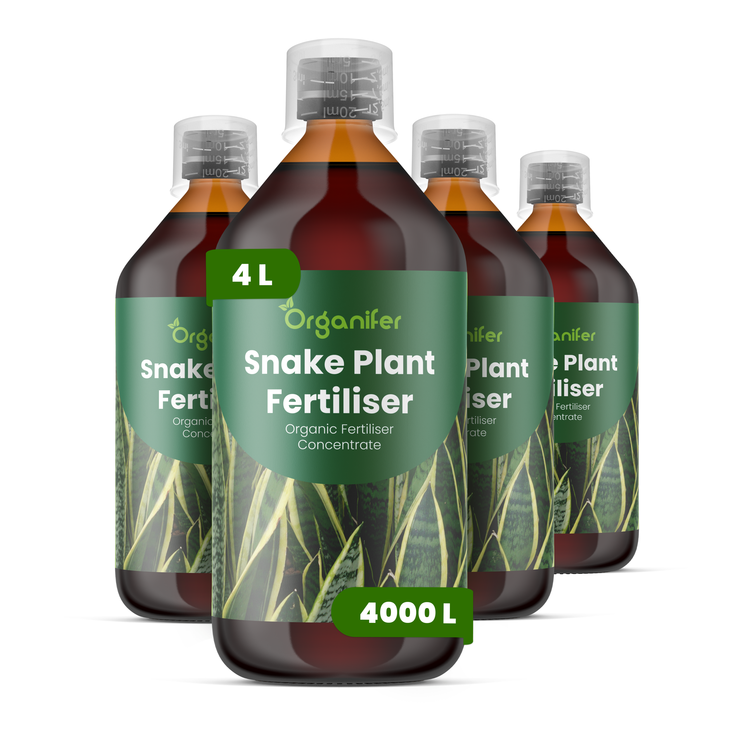 8719958004627 4L Snake Plant labels
