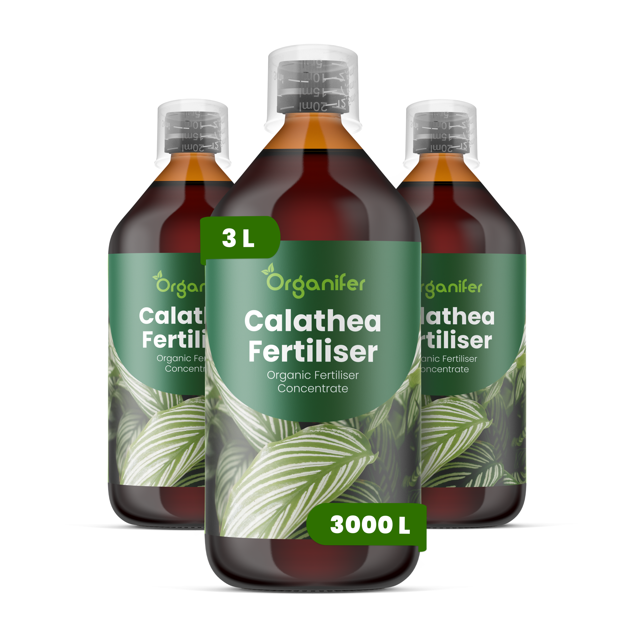 8719958004856 3L Calathea labels
