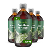 8719958004863 4L Calathea labels